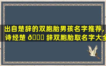 出自楚辞的双胞胎男孩名字推荐,诗经楚 🕊 辞双胞胎取名字大全